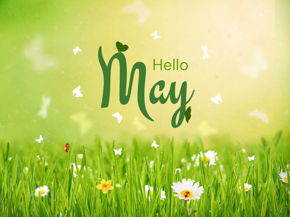 A field of flowers with the text, "Hello May"